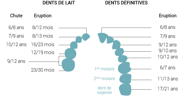 Cabinet d'orthodontie des drs GHAZI, MOUNET, CASTELBOU et LUX à Montauban